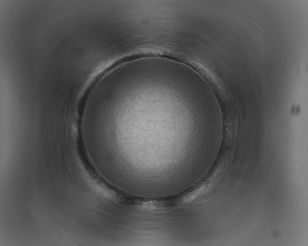 X0000094420064200711211420
