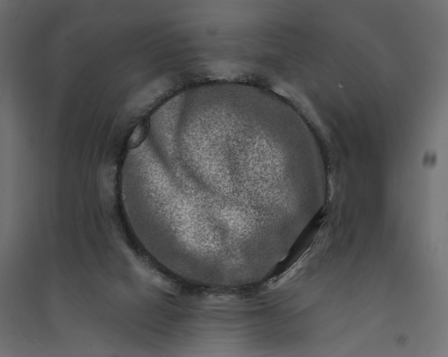 X0000094420066200711211420