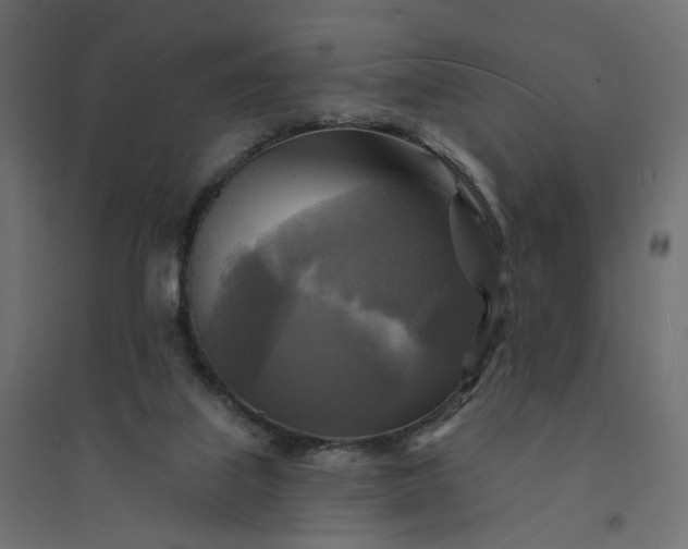 X0000094420067200711211420