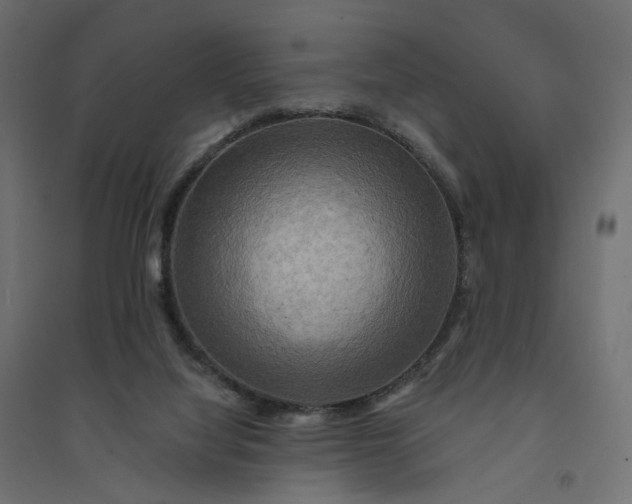 X0000094420068200711211420