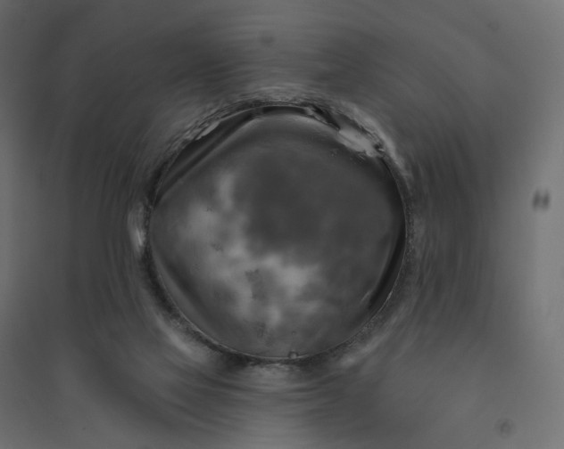 X0000094420069200711211420