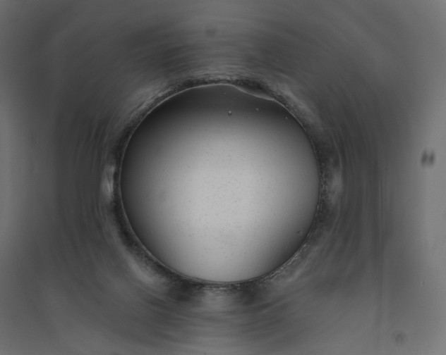 X0000094420070200711211420