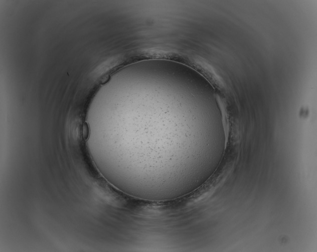 X0000094420071200711211420