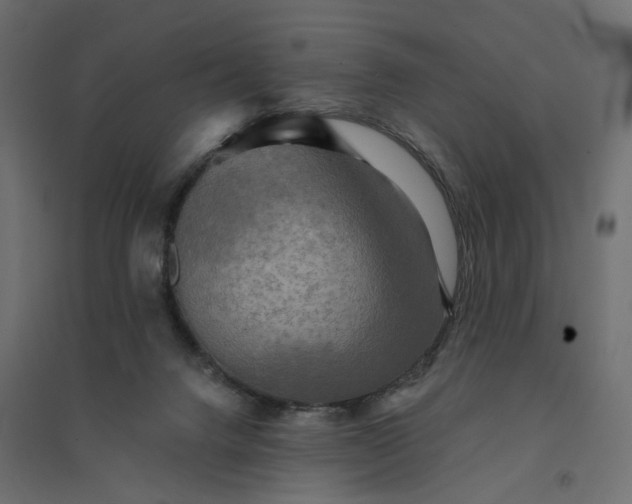 X0000094420072200711211420