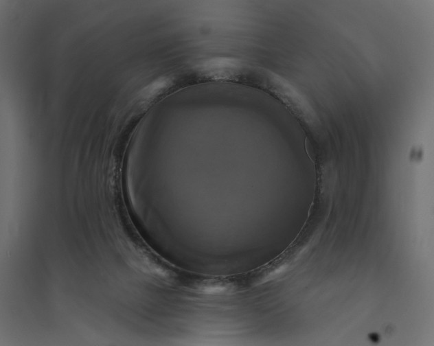 X0000094420073200711211420