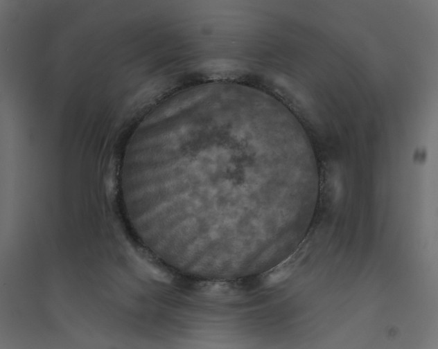 X0000094420074200711211420