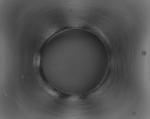 X0000094420076200711211420