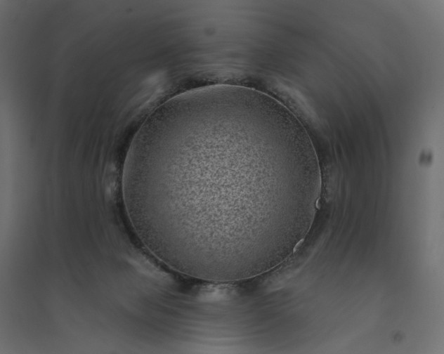 X0000094420077200711211420