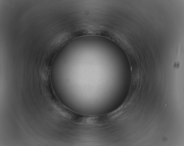 X0000094420078200711211420