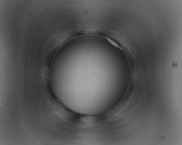 X0000094420079200711211420