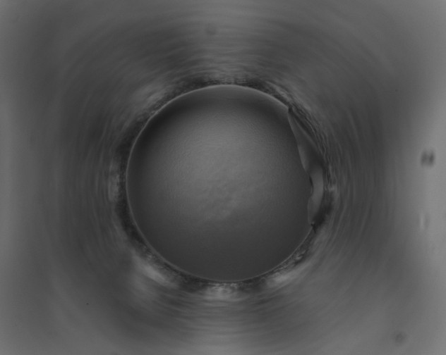 X0000094420080200711211420