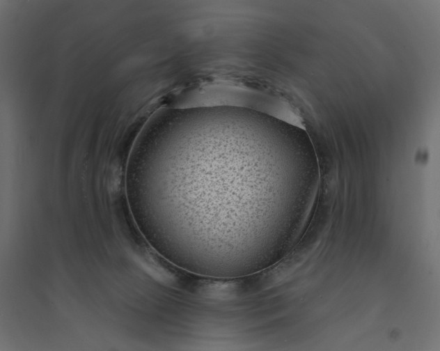 X0000094420081200711211420