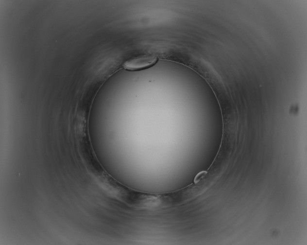 X0000094420083200711211420
