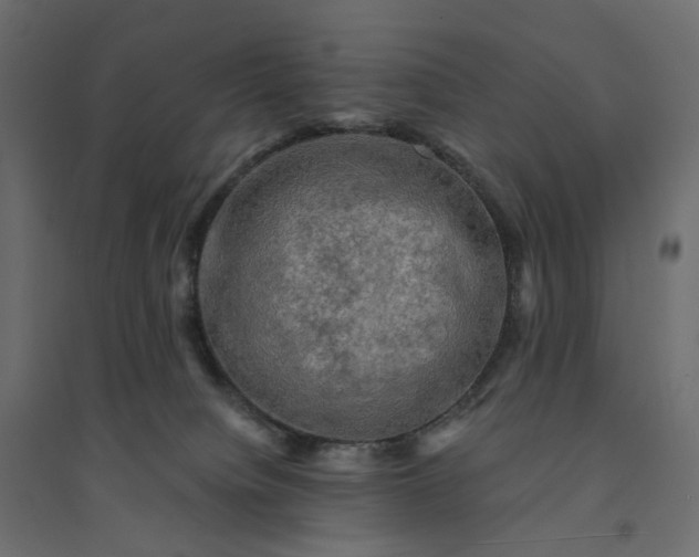X0000094420084200711211420