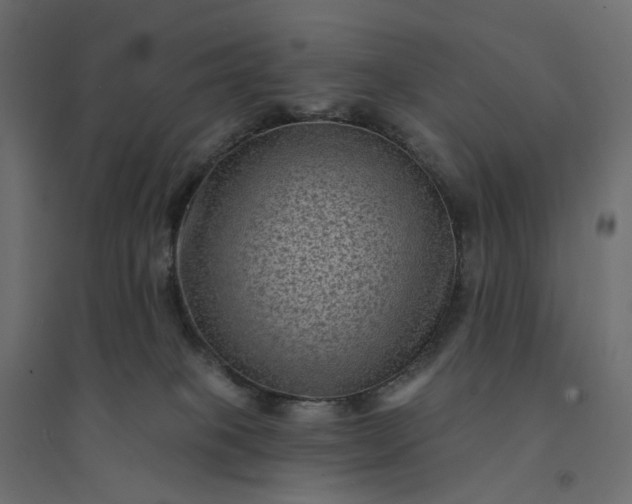 X0000094420085200711211420