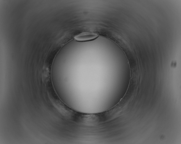 X0000094420087200711211420