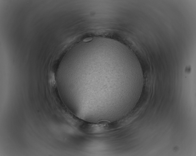 X0000094420089200711211420