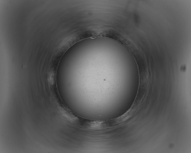 X0000094420090200711211420