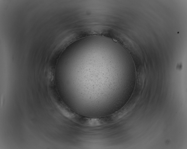 X0000094420091200711211420