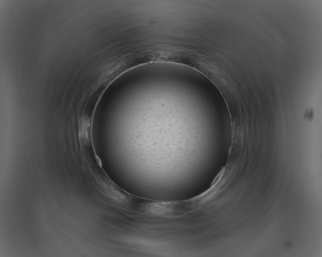 X0000094420094200711211420