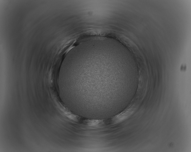 X0000094420096200711211420