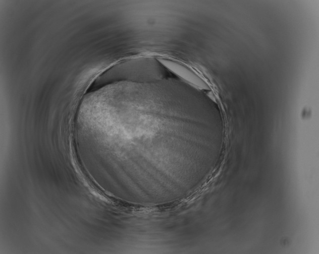 X0000094420097200711211419