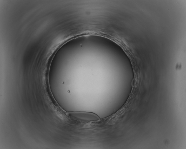 X0000094420098200711211419