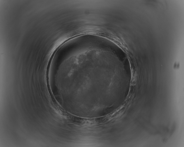 X0000094420099200711211419
