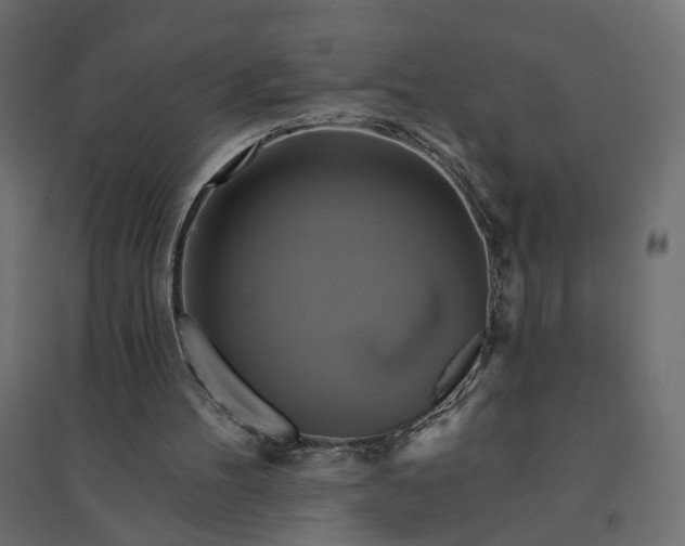 X0000094420100200711211419