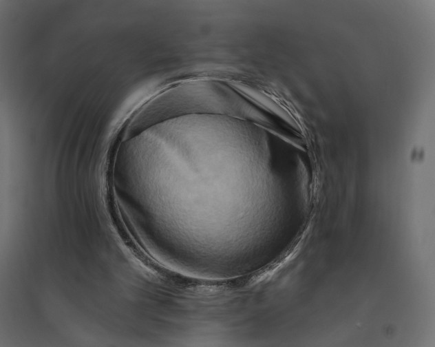 X0000094420101200711211419