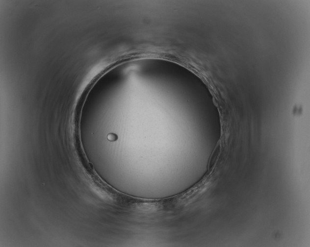 X0000094420102200711211419