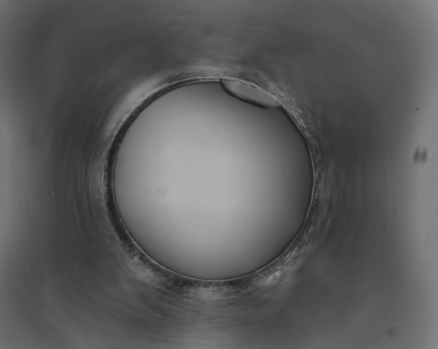 X0000094420103200711211419
