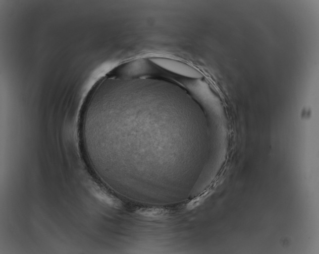 X0000094420104200711211419