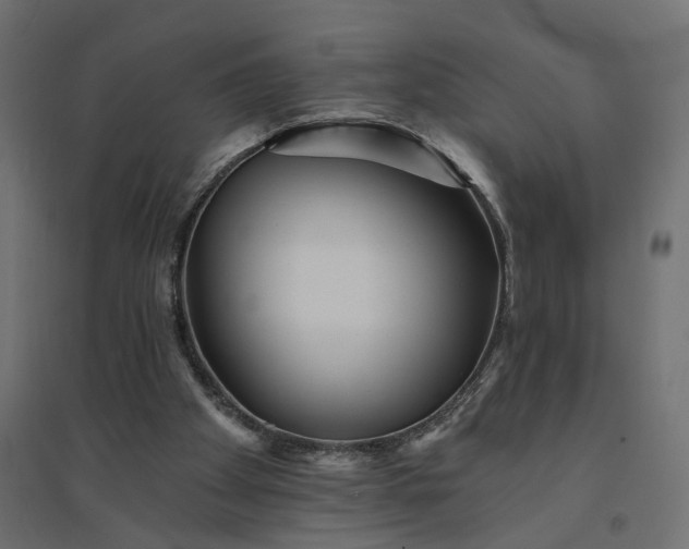 X0000094420105200711211419