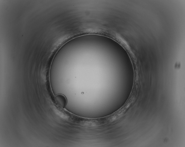 X0000094420106200711211419