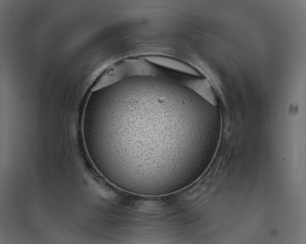 X0000094420107200711211419