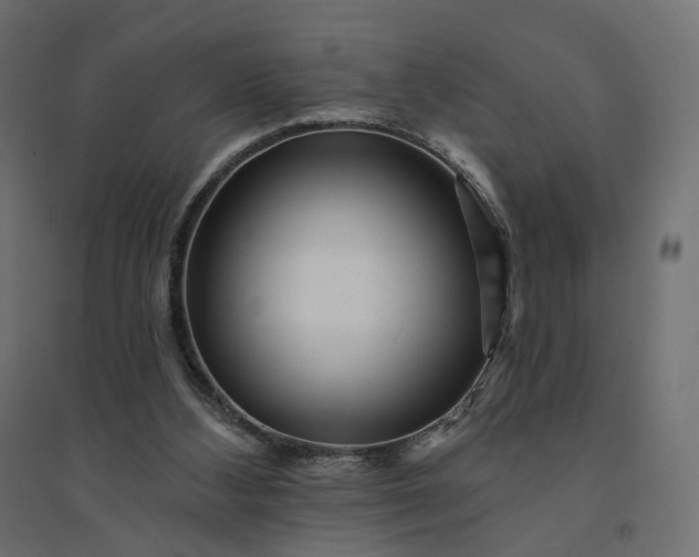 X0000094420108200711211419