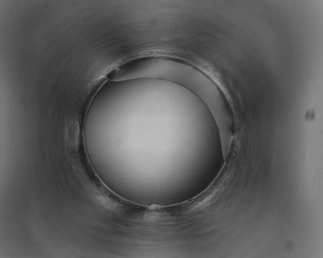 X0000094420109200711211419