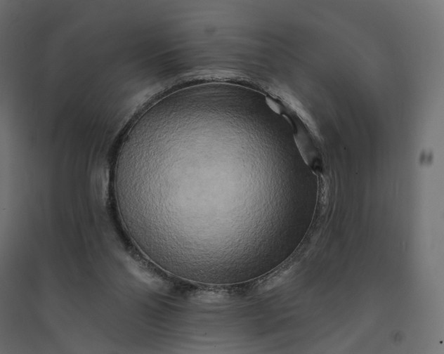 X0000094420110200711211419