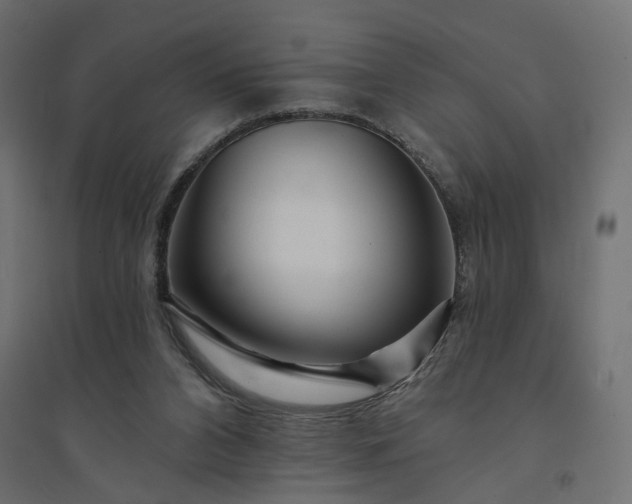 X0000094420112200711211419