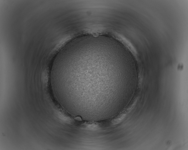 X0000094420113200711211419