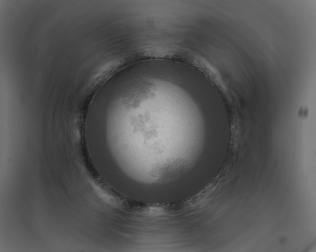 X0000094420114200711211419