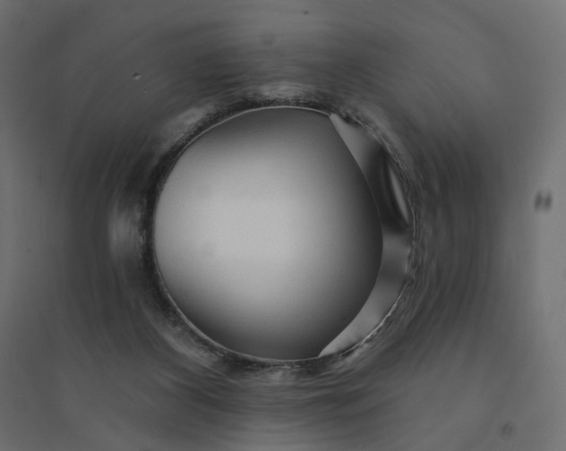 X0000094420116200711211419