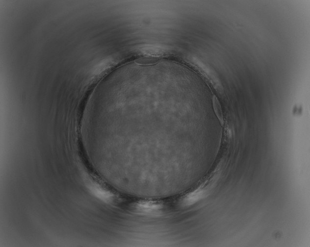 X0000094420117200711211419
