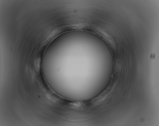 X0000094420118200711211419