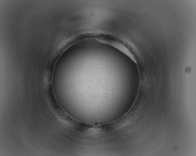 X0000094420119200711211419