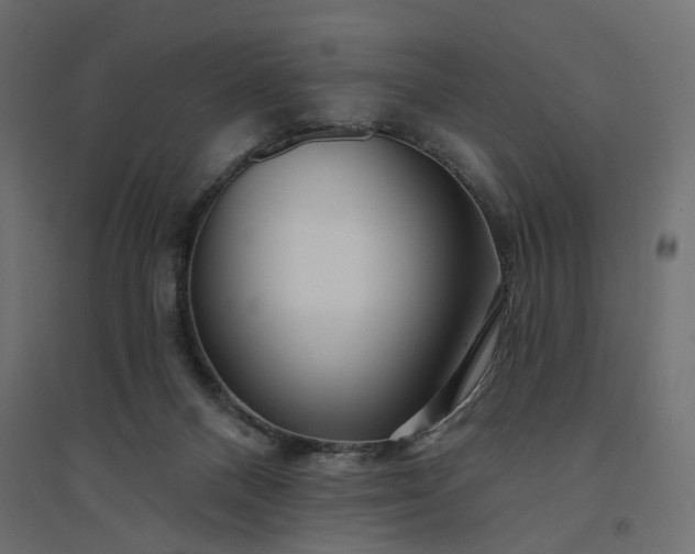 X0000094420120200711211419