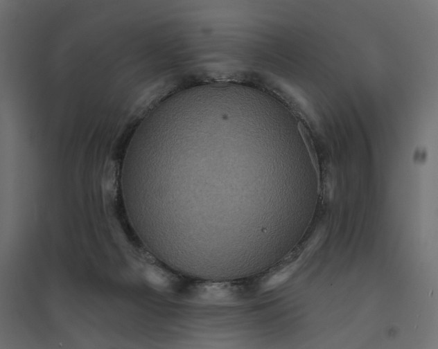 X0000094420121200711211419