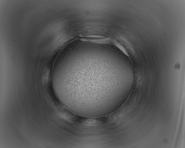 X0000094420123200711211419