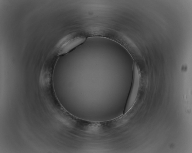X0000094420124200711211419